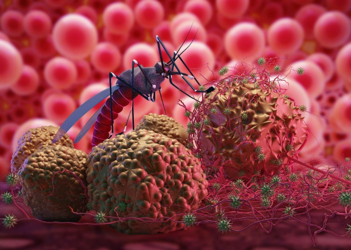 اليوم العالمي للملاريا .. البرنامج الوطني لمكافحة المرض مكن من الحد من انتقاله منذ سنة 2004