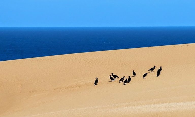 بروز كتل رملية ببحيرة الوليدية: تساؤلات بشأن ظاهرة طبيعية مرتبطة بتطورات مورفولوجية