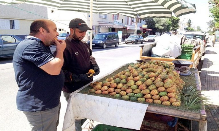 بيع التين الشوكي تجارة هامشية يمتهنها الشباب في شوارع مراكش