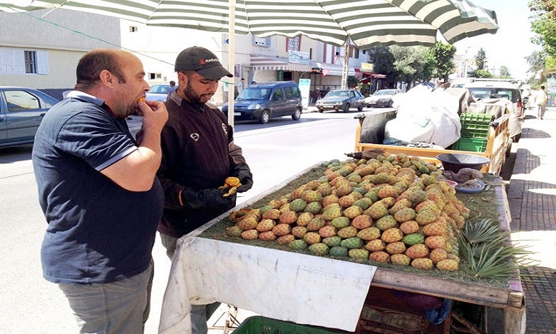 بيع التين الشوكي تجارة هامشية يمتهنها الشباب في شوارع مراكش