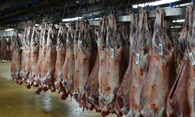 تتويج مجازر الدار البيضاء بشهادة الجودة ISO للمرة الخامسة على التوالي