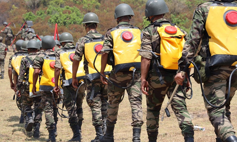 تحويط حوالي 50 في المائة من حريق غابة "آل سريف" بإقليم العرائش