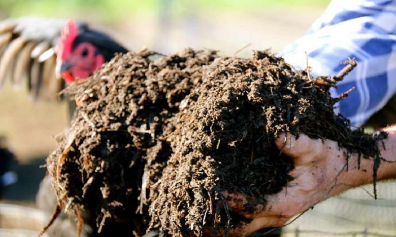 تزنيت: حجز 10 أطنان من فضلات الدواجن تستعمل في تغذية الأغنام