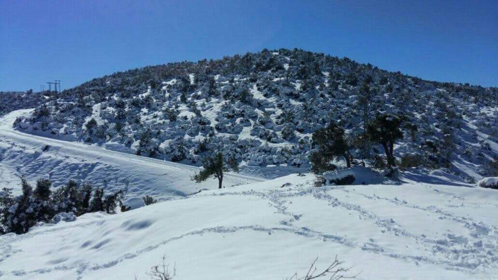 تساقطات ثلجية.. تدخلات مستعجلة لفرق الإغاثة بعدة مناطق بالأطلس المتوسط