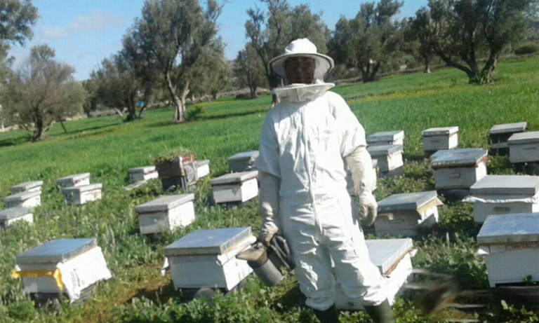 تعاونية تكليف لتربية النحل وإنتاج العسل بآسفي تتحدى صعوبات الجائحة