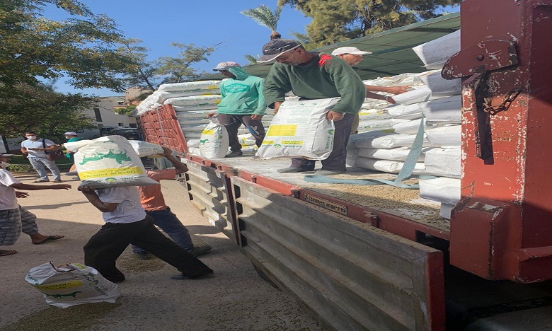 توزيع أزيد من 440 ألف قنطار من العلف المدعم لمربي الماشية بجهة مراكش