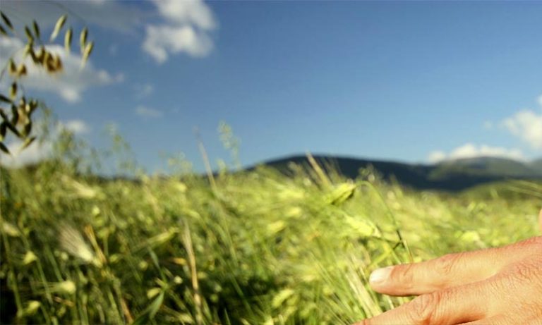 توقعات أحوال الطقس اليوم الأربعاء