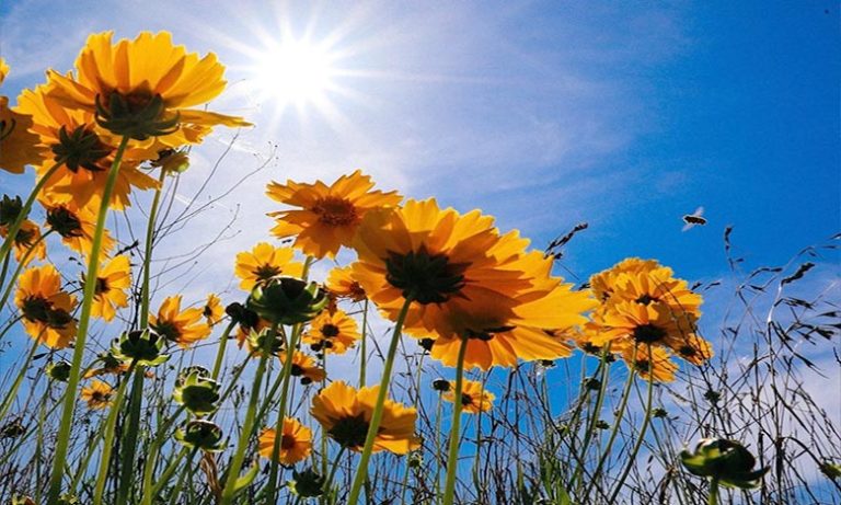 توقعات أحوال الطقس اليوم الاثنين