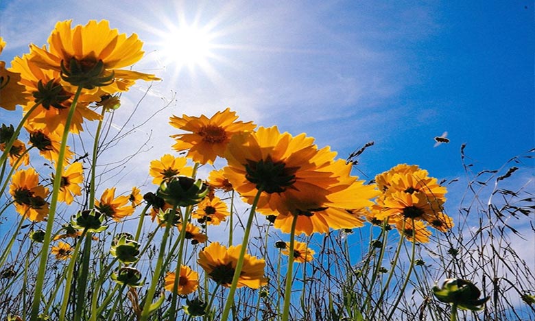 توقعات أحوال الطقس اليوم الثلاثاء