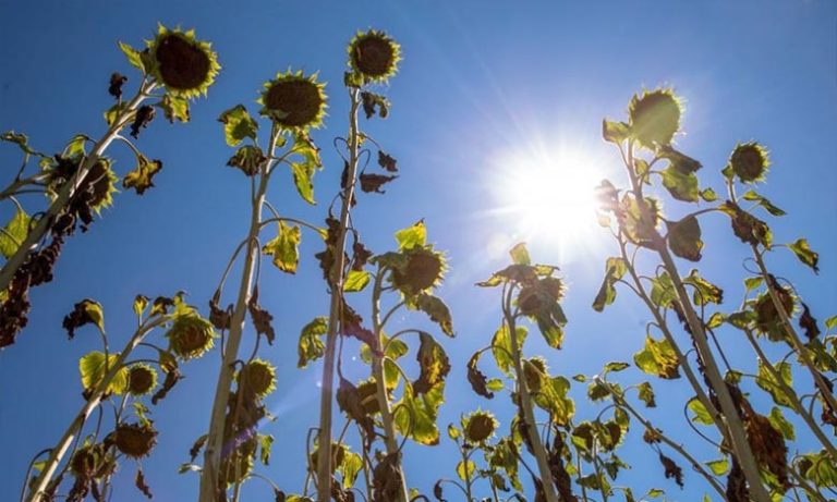 توقعات أحوال الطقس اليوم الجمعة