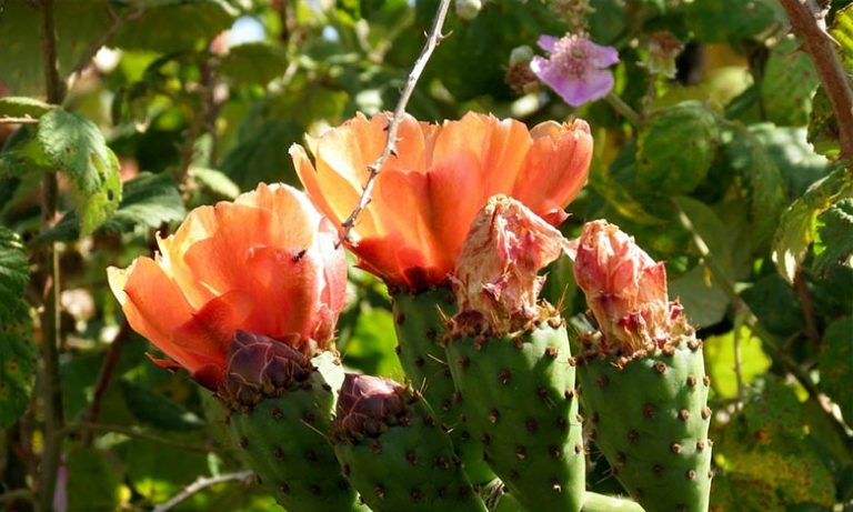 توقعات أحوال الطقس لليوم الاثنين