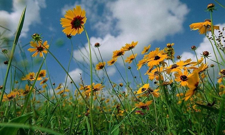 توقعات أحوال الطقس لليوم الثلاثاء