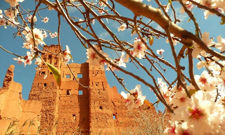 توقعات أحوال الطقس لليوم السبت