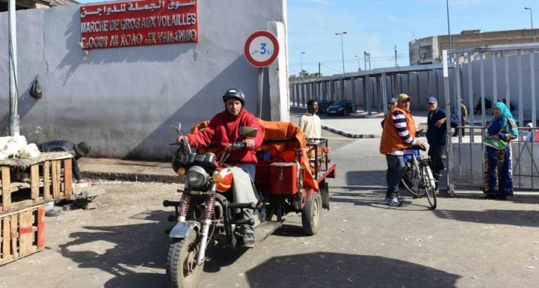 جماعة الدار البيضاء تمنع بيع الديك الرومي بسوق الدواجن