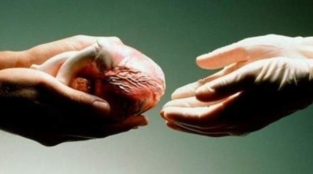 جمعية "كلي" تطلق نداء مستعجلا لتعديل قانوني للتبرع بالأعضاء في المغرب