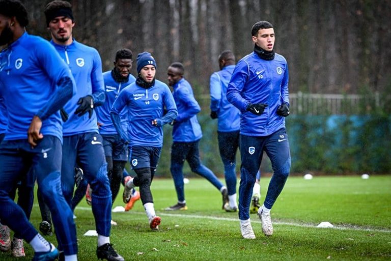 جينك يتوقع 20 مليون يورو من الخنوس