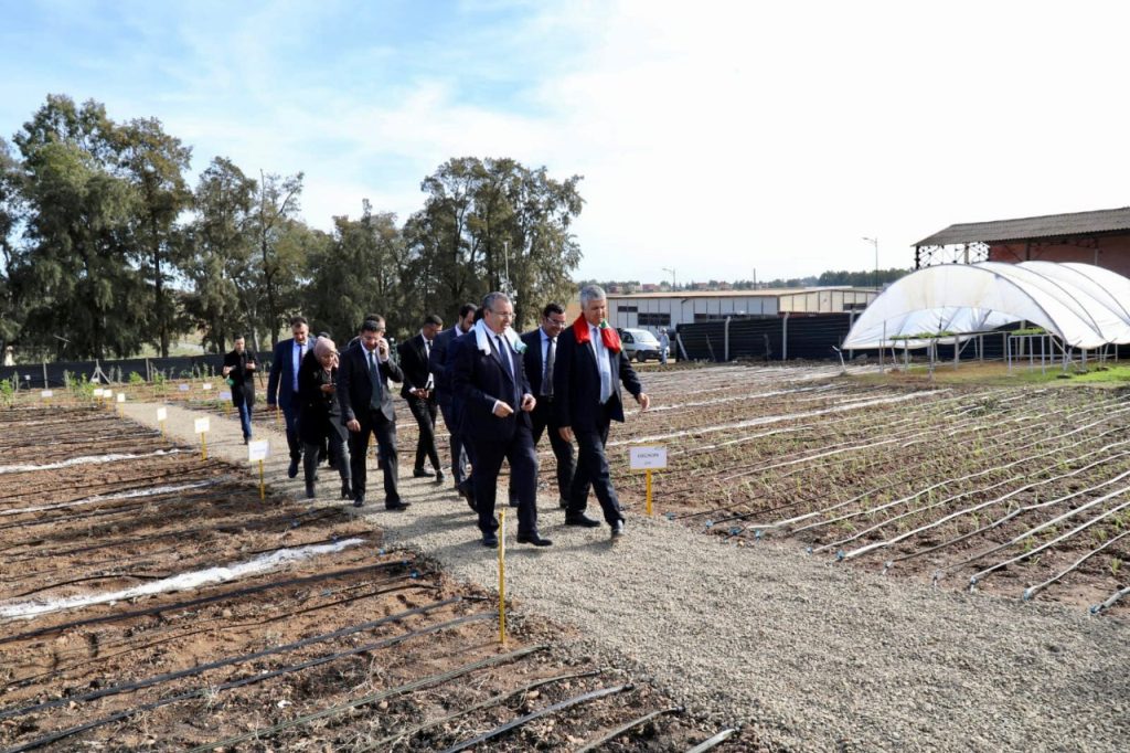 حد كورت.. افتتاح مركز القرب للمقاولين الشباب الفلاحيين