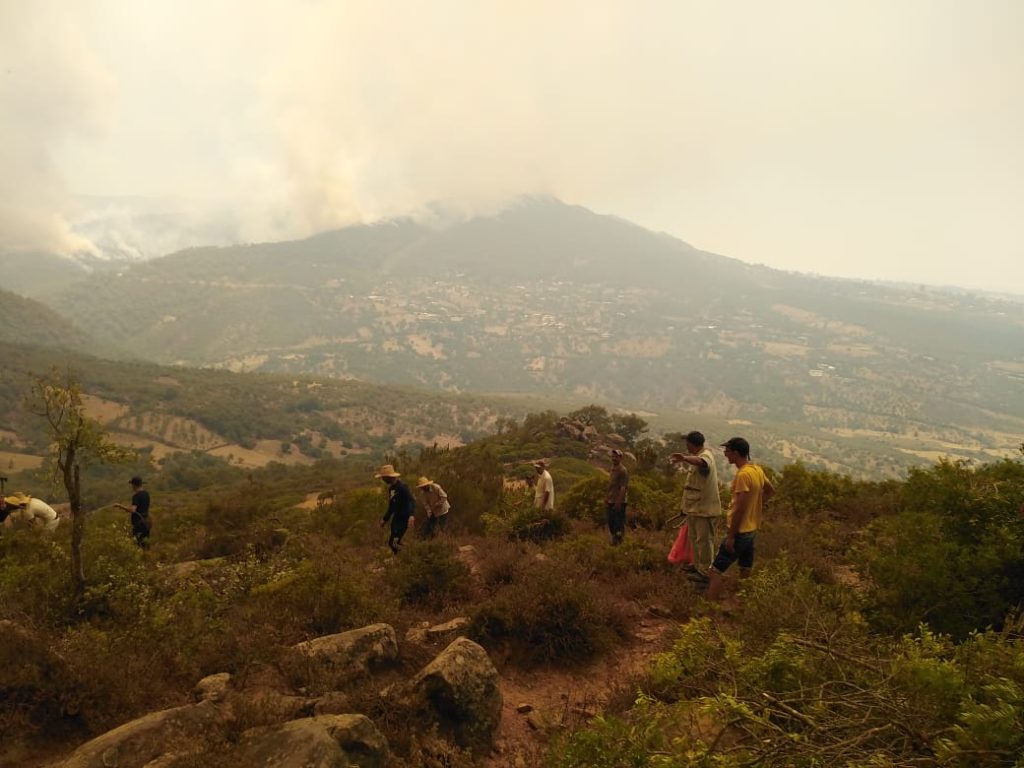 حريق مهول بالمنطقة الغابوية بجماعة بوجديان إقليم العرائش