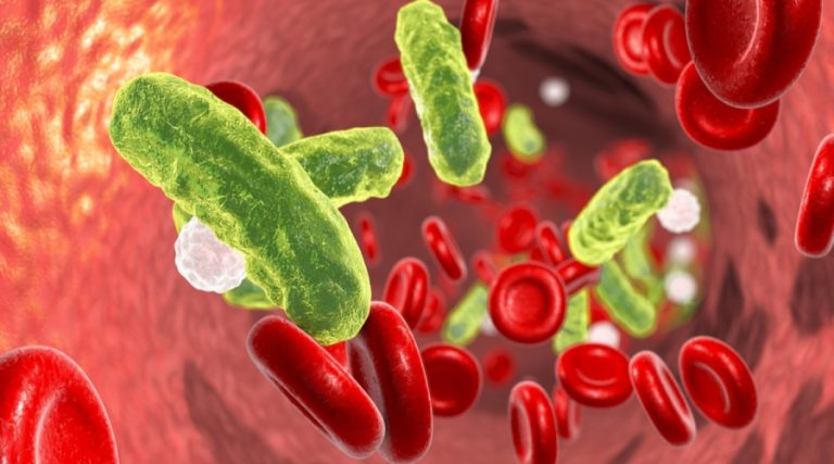 حمضي: تسمم الدم مشكلة صحية عمومية والوقاية منها عبر التشخيص المبكر