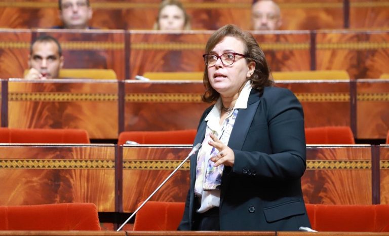 حيار: صرف 252 مليون درهم لفائدة 309 جمعية عاملة في مجال الإعاقة