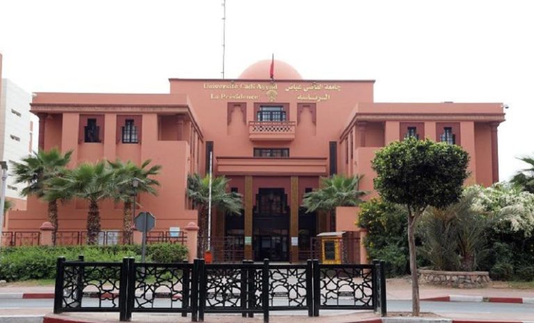 خبراء وباحثون يناقشون خلال ندوة تفاعلية عن بعد خلاصات النموذج التنموي الجديد