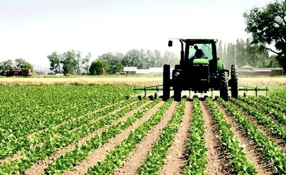 خبير في علم المناخ يوضح سبب تأخر هطول الأمطار خلال فصل الشتاء