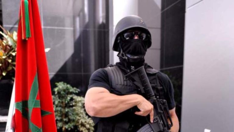 رئيس الأنتربول يشيد بنجاعة واحترافية المؤسسات الأمنية المغربية