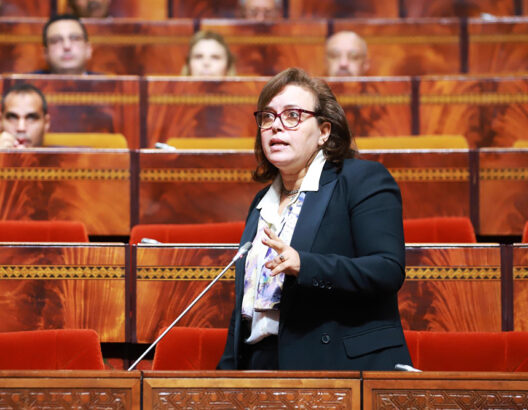 زلزال الحوز.. أزيد من 36 ألف مستفيد من خدمات القطب الاجتماعي (وزيرة)