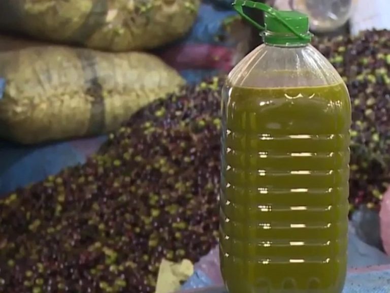 زيت الزيتون .. ارتفاع ثمن اللتر الواحد إلى 90 درهما بجهة بني ملال خنيفرة