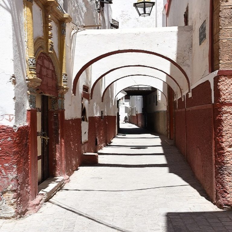 تصوير: محسن كرتوش