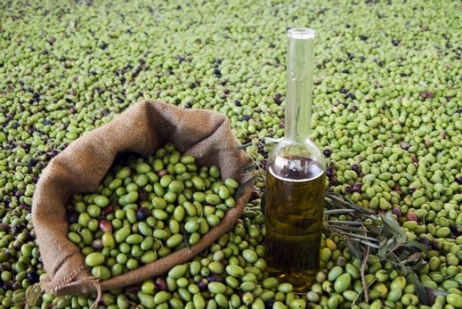 صبري: نتوقع انخفاض أسعار زيت الزيتون إلى ما بين 80 و90 درهما للتر الواحد