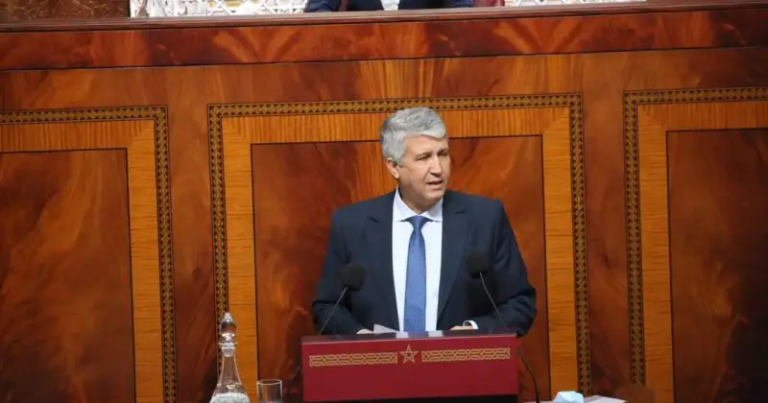 صديقي: هدم 187 منزلا جراء الحرائق الغابوية بالأقاليم الشمالية