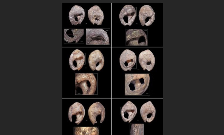 عمرها الالاف السنين.. خبراء دوليون يبرزون قيمة الحلي القديمة المكتشفة بمغارة "بيزمون" بالصويرة