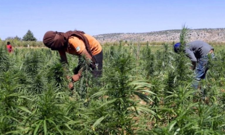 فاجعة الطفل ريان تعيد قضية حفر تجار ومزارعي "الكيف" للآبار بعشوائية إلى الواجهة