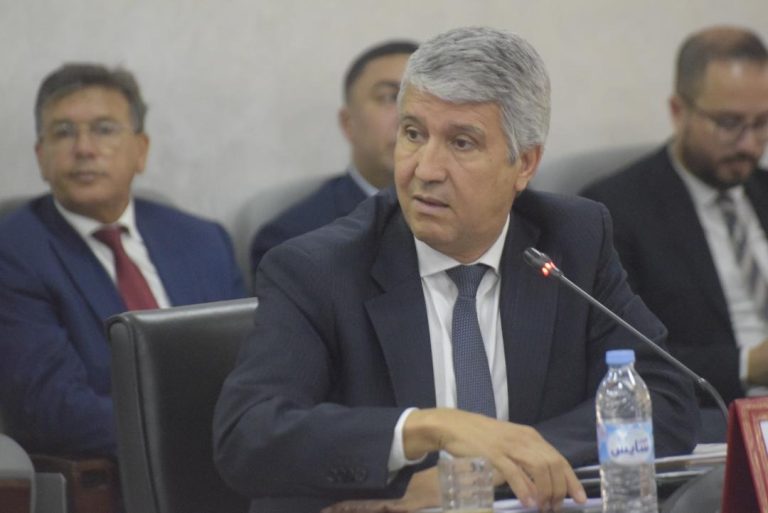 فاس .. وزير الفلاحة يطلع على مشاريع تحديث أسواق الجملة والأسواق والمجازر