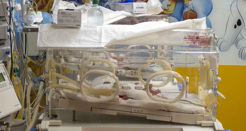 لأول مرة بإقليم الجديدة.. سيدة عشرينية تنجب أربعة توائم