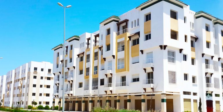 لقجع: دعم السكن يروم إعطاء دينامية لقطاع العقار