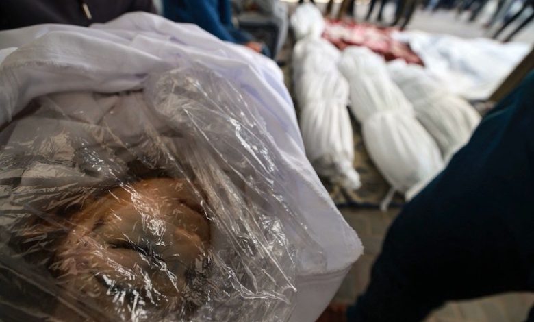 مئات القتلى والجرحى الفلسطينيين في غزة مئات القتلى والجرحى الفلسطينيين في غزة