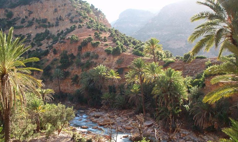 محمد بنعبو: المغرب يواصل احتلال مراتب متقدمة عالميا في مؤشر الأداء للتغيرات المناخية