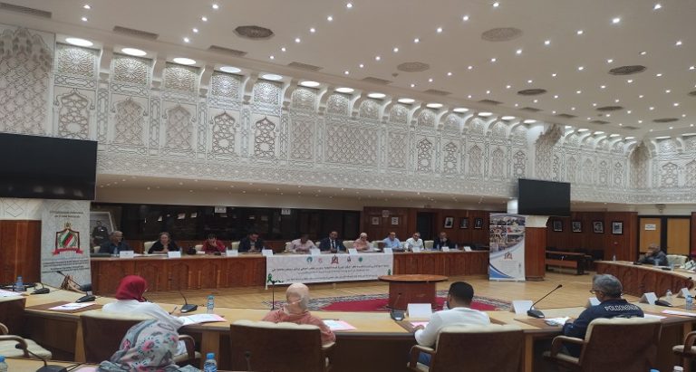 مراكش: دعوة لاعتماد الجيل الجديد من الأدوية الخاصة بالأمراض النفسية والعقلية