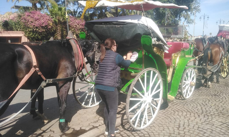 مراكش: سائقو "الكوتشي" ينخرطون في تحسيس المواطنين بضرورة استكمال عملية التلقيح