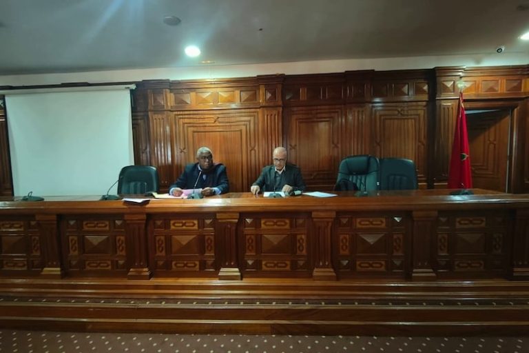 مشاريع علمية تبحث عن المعرفة التاريخية