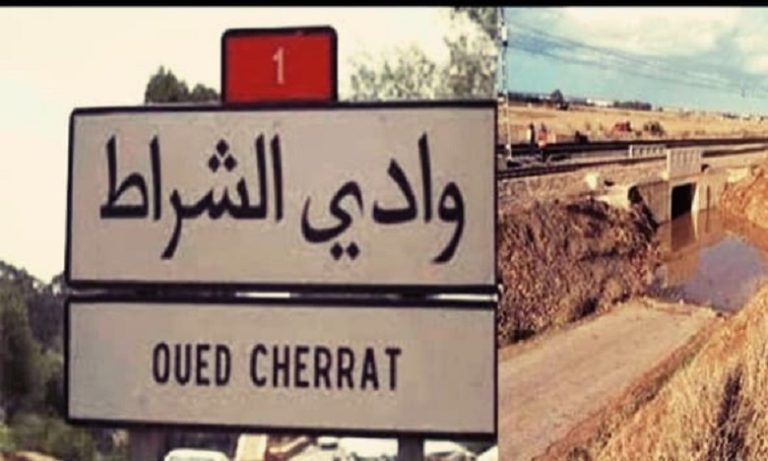 مصرع 4 أشخاص بينهم شابتان وإنقاذ 3 في تحطم قارب للهجرة غير الشرعية بوادي الشراط