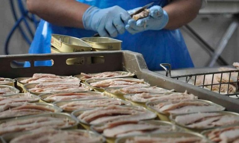 مصنعو مصبرات الأسماك يدعون إلى الحفاظ على المخزون السمكي