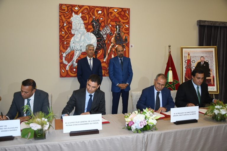 معرض الفرس .. توقيع عقد برنامج جديد واتفاقيات لتنمية سلسلة الخيل