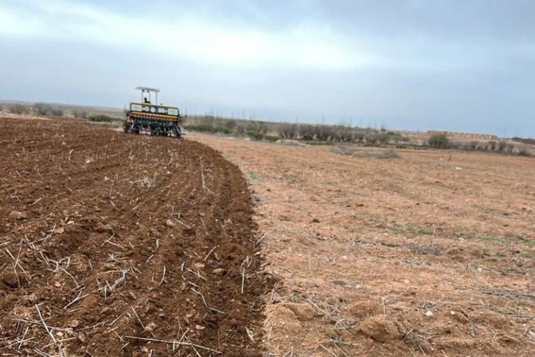 موجة البرد والصقيع تنذر بتأثيرات سلبية على المحاصيل الزراعية في المغرب
