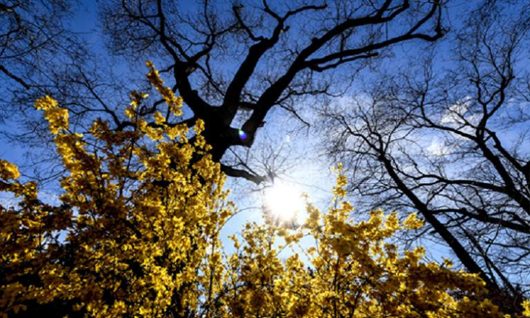 نشرة إنذارية.. طقس حار غدا الأحد ويوم الاثنين بعدد من الأقاليم