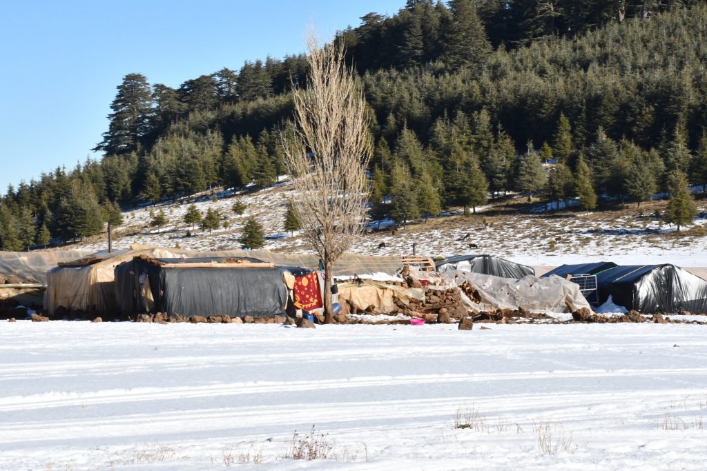 نشرة خاصة: أمطار قوية ومحليا رعدية وتساقط ثلوج بعدد من أقاليم المملكة ابتداء من اليوم الأحد