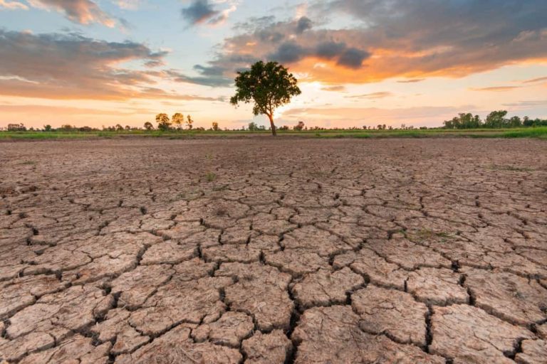 وزارة التجهيز والماء.. تدابير استباقية وآنية لمواجهة تداعيات الجفاف وتأمين التزويد بالماء