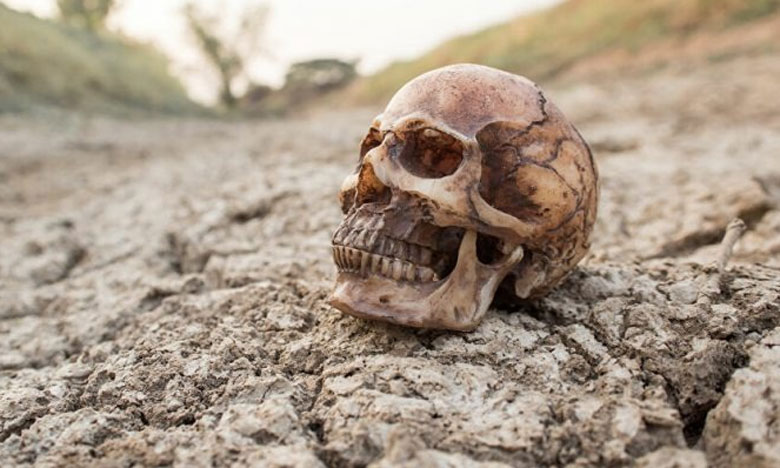 آسفي: استنفار أمني بعد العثور على جمجمة بشرية بجماعة مول البركي